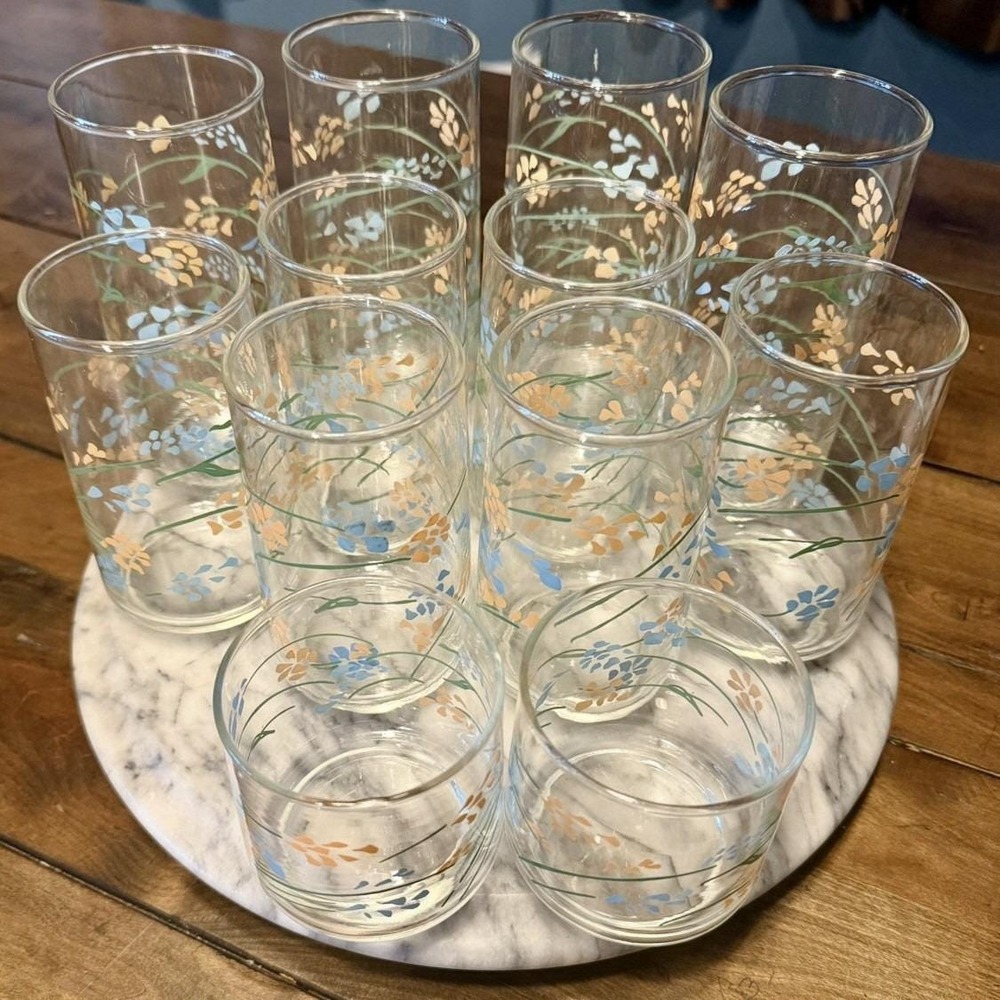 12pc VTG 1950s Mexican Termocrisa Glass Glasses Peach Blue Floral Flowers Mexico